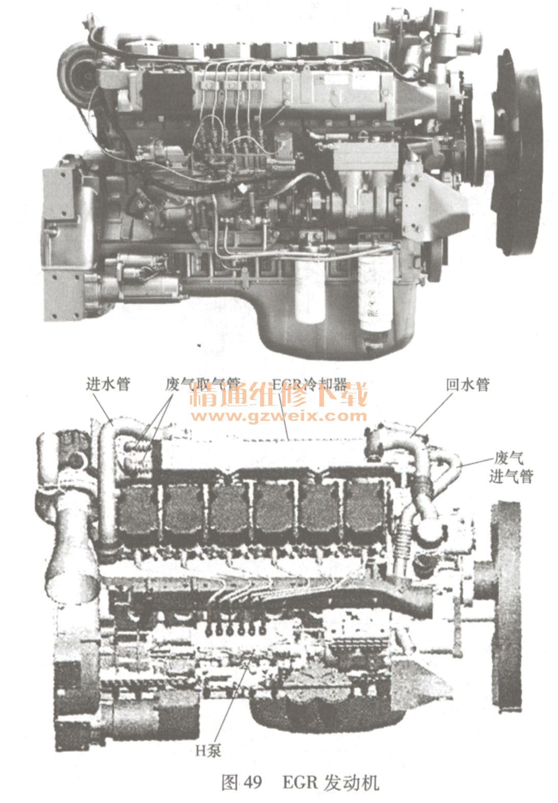 潍柴wd615(国iii )egr发动机的结构