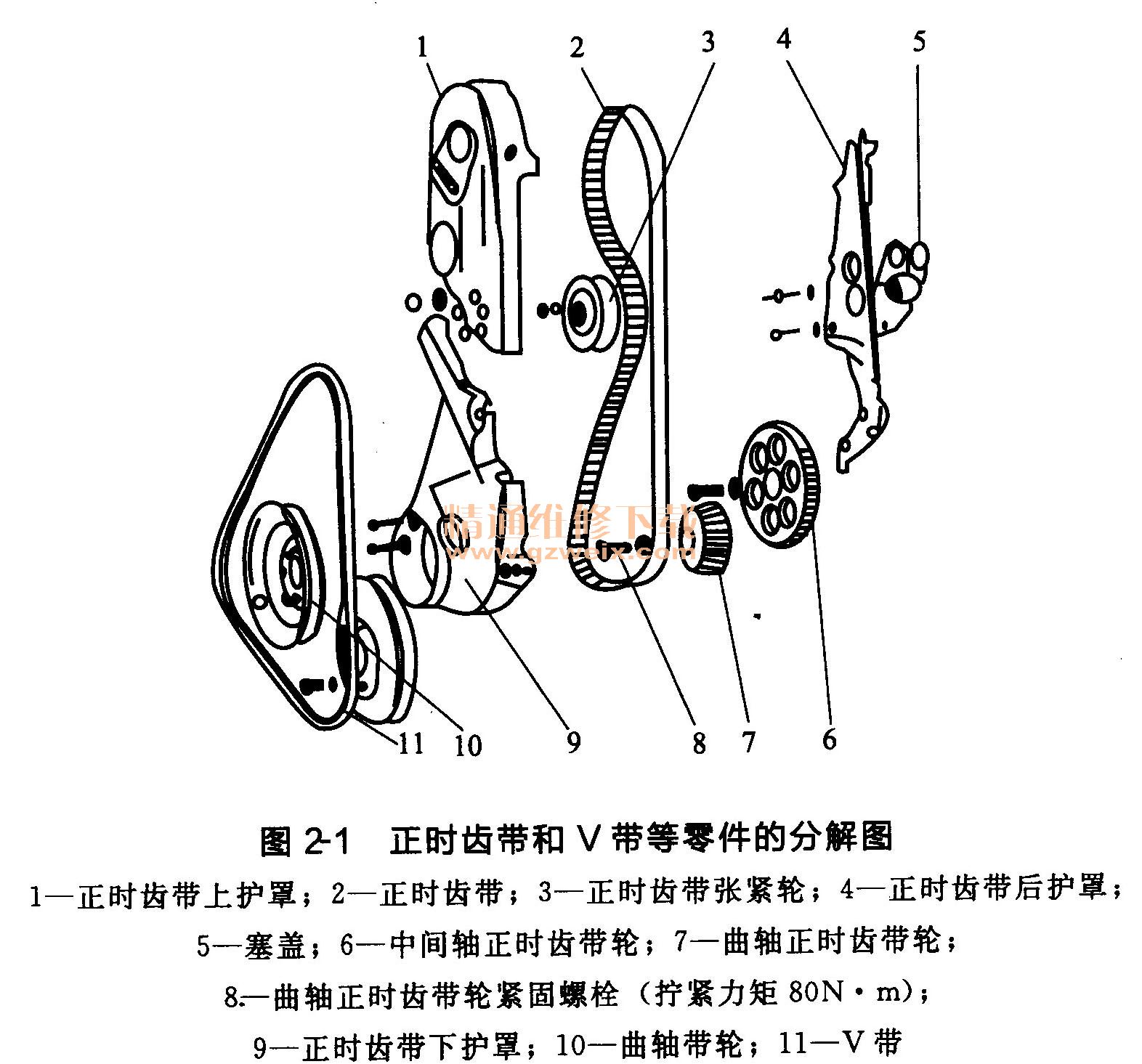 ④旋松正时齿带张紧轮紧固螺栓,转动张紧轮的偏心轴,使正时齿带