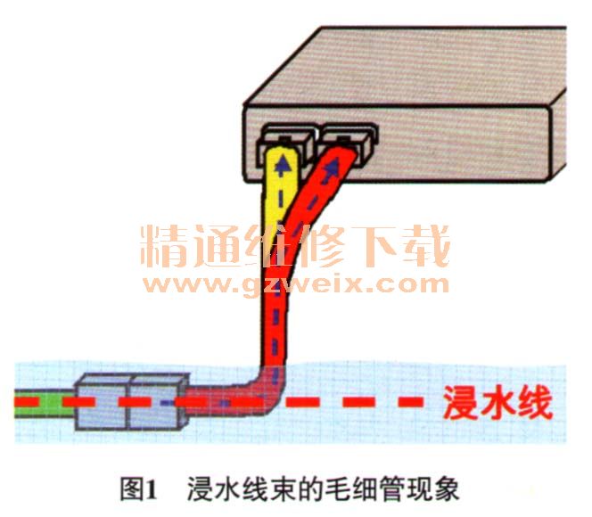 不可忽视浸水线束的毛细管现象 - 精通维修下载