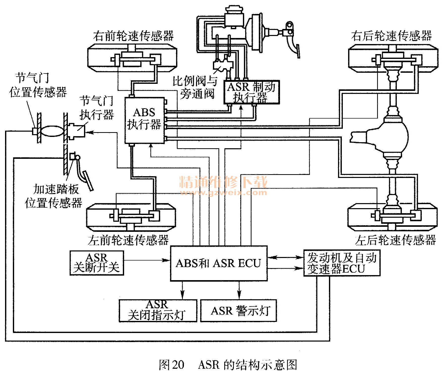 补单元是什么工作原理_补完牙是什么样子图片(2)